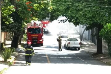 Mulher sofre ataque e fica com o corpo coberto de abelhas em Belo Horizonte