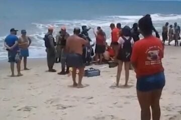 Recife: garota perde parte do braço após mordida de tubarão; é o 3º ataque desde o Carnaval