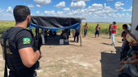 Rio Grande do Sul: ação em Uruguaiana liberta 56 pessoas submetidas a trabalho escravo