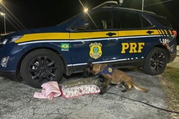 Passageira é presa transportando 1kg de ‘supermaconha’ em travesseiro