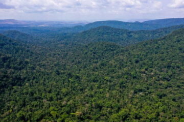 Banco Mundial defende revisão no modelo de crescimento da Amazônia