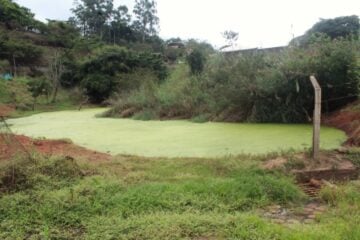 Após matéria da DeFato, Prefeitura promete licitação para corrigir ‘lagoa de esgoto’