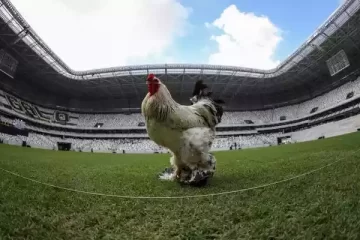 Conheça a estratégia do Atlético-MG para nacionalizar marca