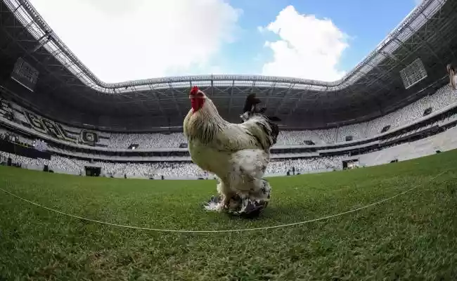 Conheça a estratégia do Atlético-MG para nacionalizar marca