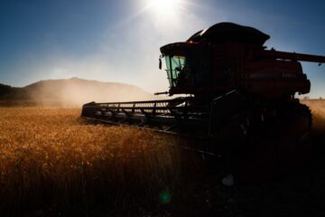 Governo Lula beneficia parentes de políticos com doação de máquinas agrícolas