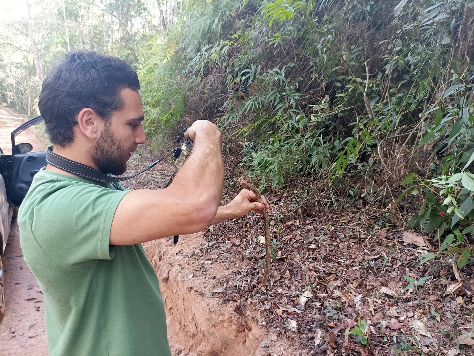 Biólogo confirma ocorrência de espécie rara na Estação Ambiental Peti