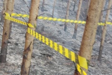 Brigadista morre durante combate a incêndio na área da Cenibra