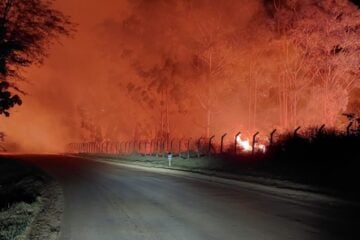 Incêndio destrói vegetação às margens da Estrada 105 e oferece risco a motoristas