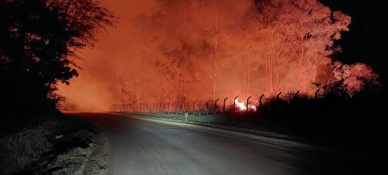 Incêndio destrói vegetação às margens da Estrada 105 e oferece risco a motoristas