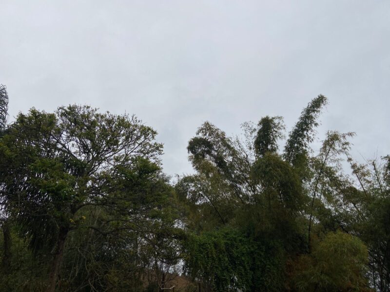 Domingo com chuva e o estagiário levantou da cama só pra te trazer a previsão do tempo; confira