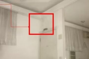 Mulher será indenizada em R$ 2 mil por ser atacada por rato em motel em Belo Horizonte