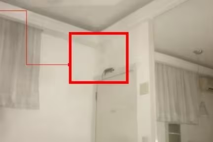 Mulher será indenizada em R$ 2 mil por ser atacada por rato em motel em Belo Horizonte