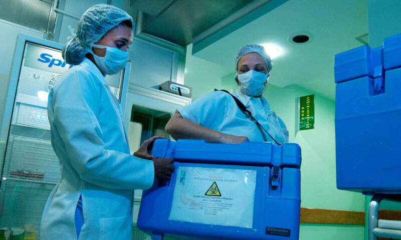 Quase 200 crianças e adolescentes esperam por transplantes de órgãos em Minas Gerais
