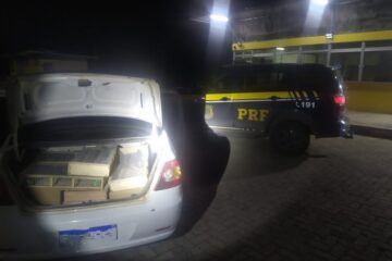 PRF recupera 350 pássaros transportados em situação de maus-tratos