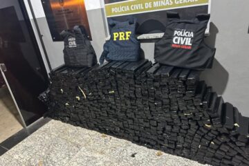 Polícia Civil e PRF apreendem quase uma tonelada de maconha e oito pessoas são presas