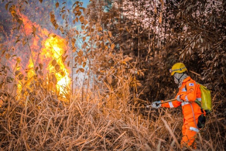 Onda de calor: bombeiros estão preparados para possível aumento de incêndios em vegetações
