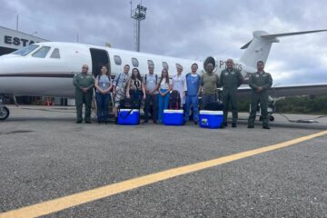 Minas Gerais capta mais três órgãos para transplante