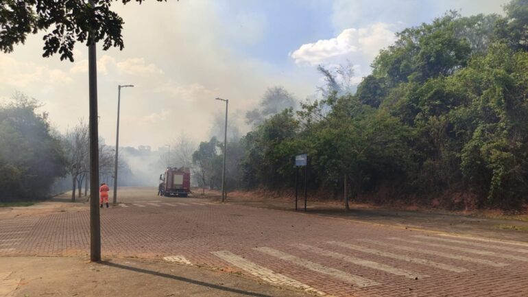 Bombeiros são acionados para combate a incêndio em mata próxima à prédio da UFMG