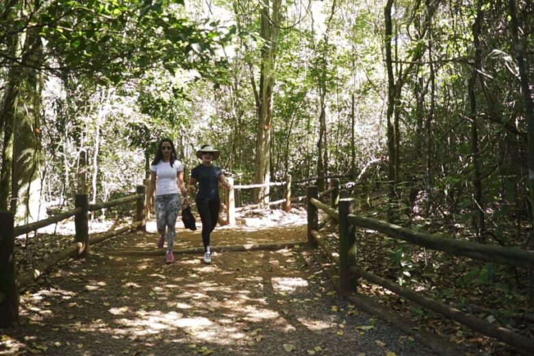 Brasil tem mais de 10 mil quilômetros de trilhas cadastradas