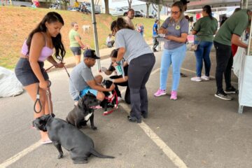 1º Encontro Municipal de Proteção Animal reúne voluntários, empresas e tutores na Feira Livre