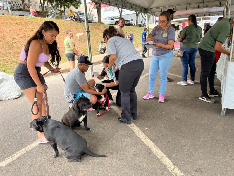 1º Encontro Municipal de Proteção Animal reúne voluntários, empresas e tutores na Feira Livre