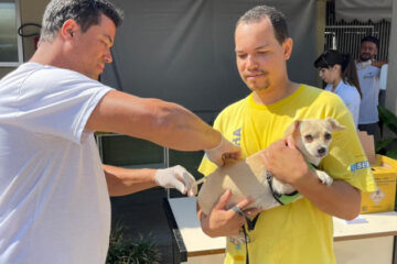 Belo Horizonte disponibiliza vacina contra a raiva animal durante todo o ano