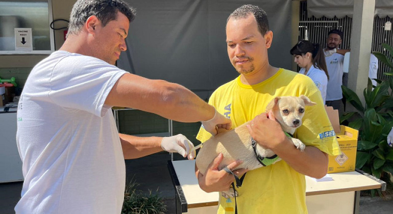 Belo Horizonte disponibiliza vacina contra a raiva animal durante todo o ano