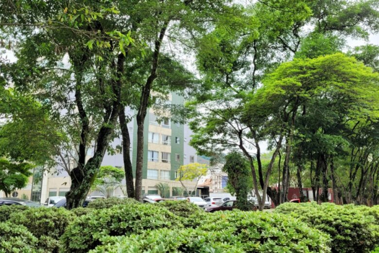 Plano de Arborização em João Monlevade cadastra 870 árvores em primeira etapa