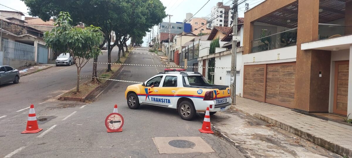 Árvore atinge rede de distribuição elétrica na avenida Brasil; trânsito está parcialmente interditado 