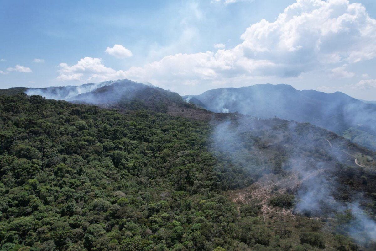 Minas registra mais de 300 incêndios florestais só na metade do mês de novembro