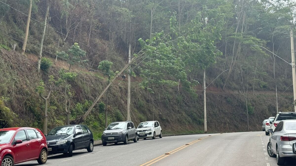 Itabira: árvore próxima à alameda da Fide enfrenta risco de queda