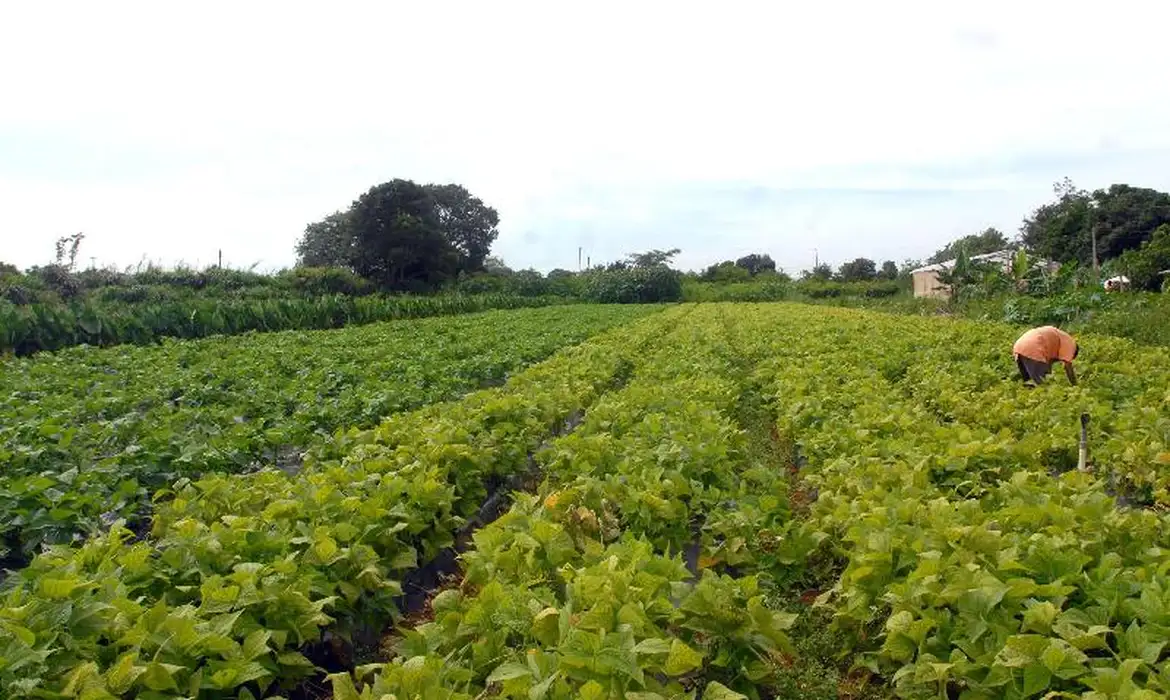 Governo de Minas Gerais publica Lei da Política de Agricultura Irrigada Sustentável