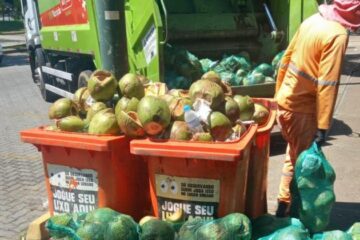 Diante do calor, Belo Horizonte registra aumento do recolhimento de carcaças de coco