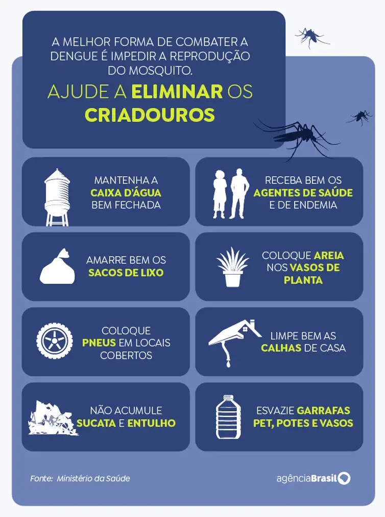 Dengue: Aedes aegypti veio para ficar, alerta infectologista