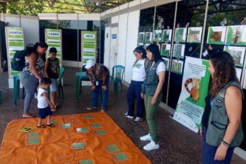 Parques municipais de BH terão programação gratuita de férias; saiba mais