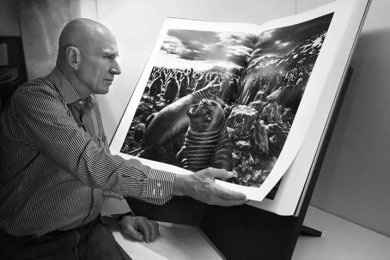 Viúva de Sebastião Salgado detalha diagnóstico de leucemia do fotógrafo
