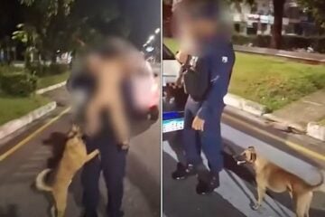 Bebê foge de casa em Belém e é encontrado de madrugada ao lado de cachorro caramelo