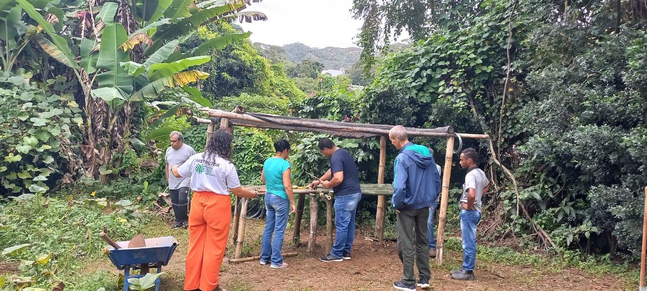 Curso ensina manejo de abelhas indígenas sem ferrão em João Monlevade