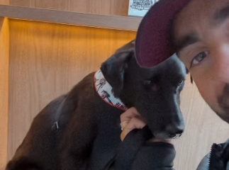 Pedro Scooby adota cachorro que resgatou da enchente