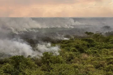 FAB faz três voos sobre o Pantanal para combate às queimadas