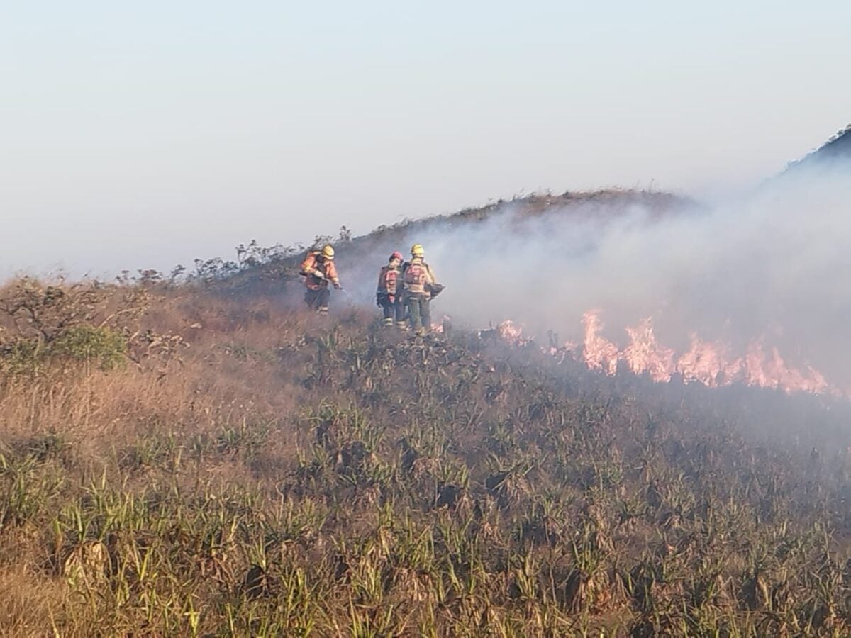 Serra da Moeda: combate às chamas entra no 4º dia seguido de operação