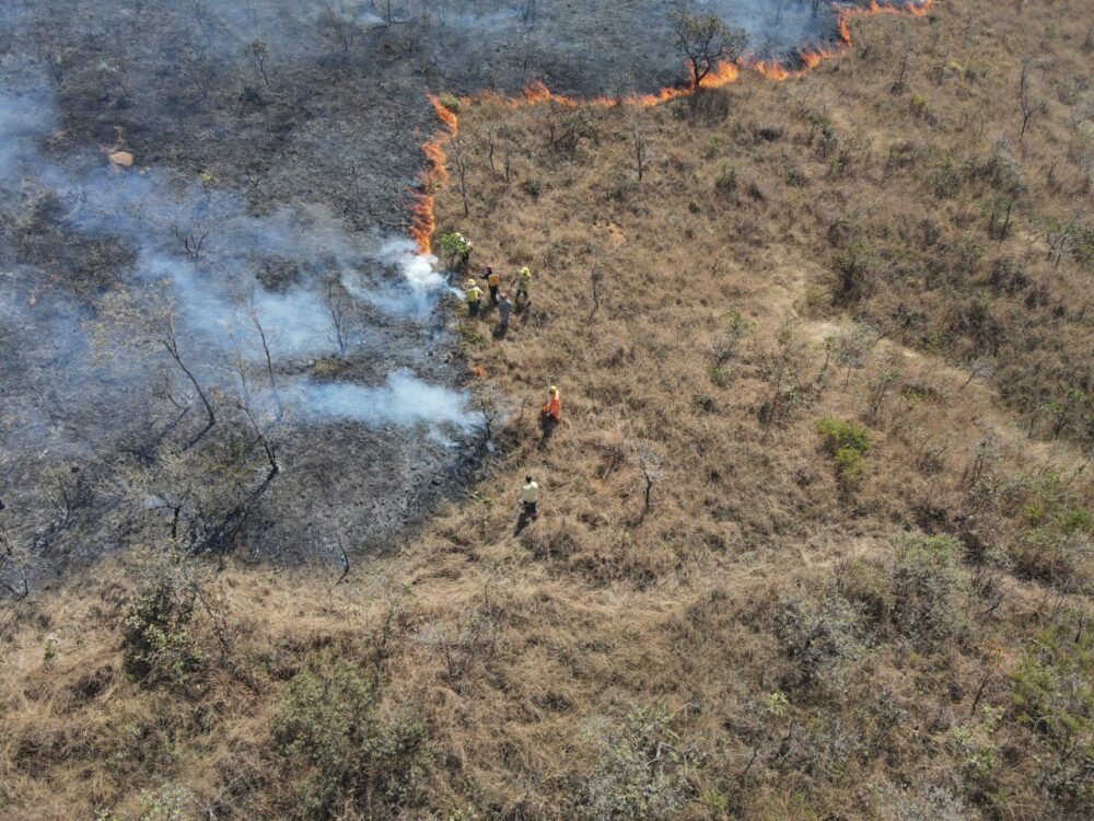 Incêndio atinge a Unidade de Conservação Gruta do Rei do Mato, em Sete Lagoas
