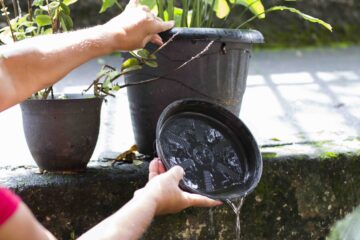 “Cada cidadão mineiro precisa fazer sua parte”, alerta secretário para próximo período de arboviroses