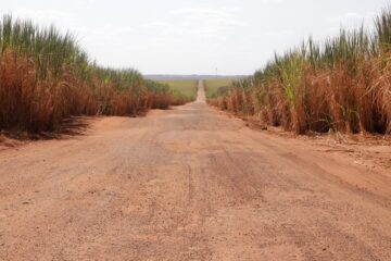Retomada a pavimentação da MGC-455, entre Uberlândia e Campo Florido