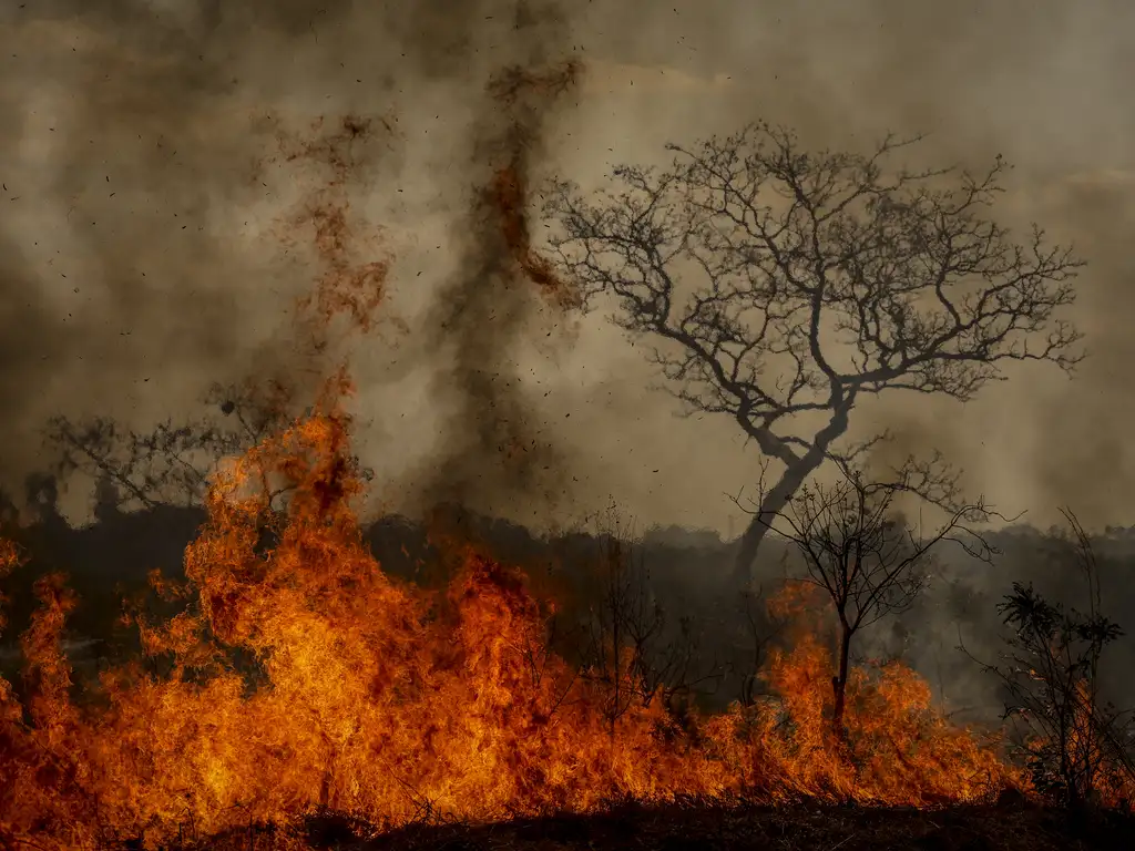 Dois homens são presos por suspeita de incêndios criminosos no interior de São Paulo