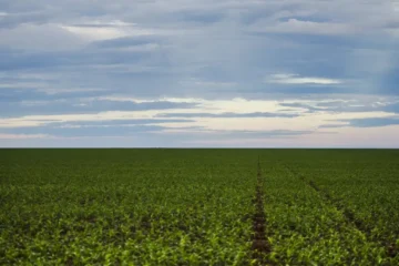 Brasil firma acordos de cooperação agropecuária com Japão, Portugal e Azerbaijão