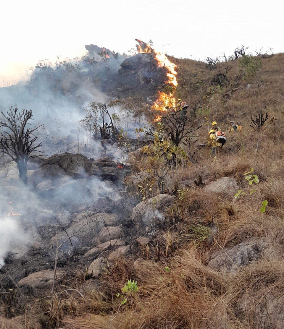 Incêndios em Minas Gerais: 11 Unidades de Conservação do Estado estão em chamas