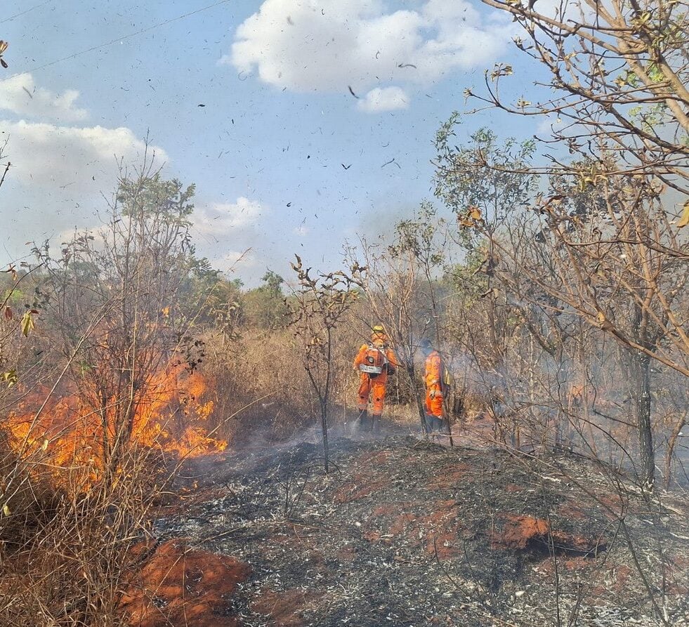 Incêndios registrados em Minas Gerais neste ano já superam números de 2021