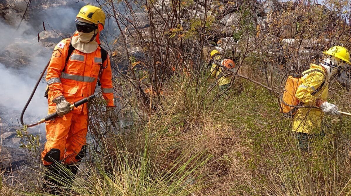 Incêndios em Minas: bombeiros recebem quase 300 acionamentos em 24 horas