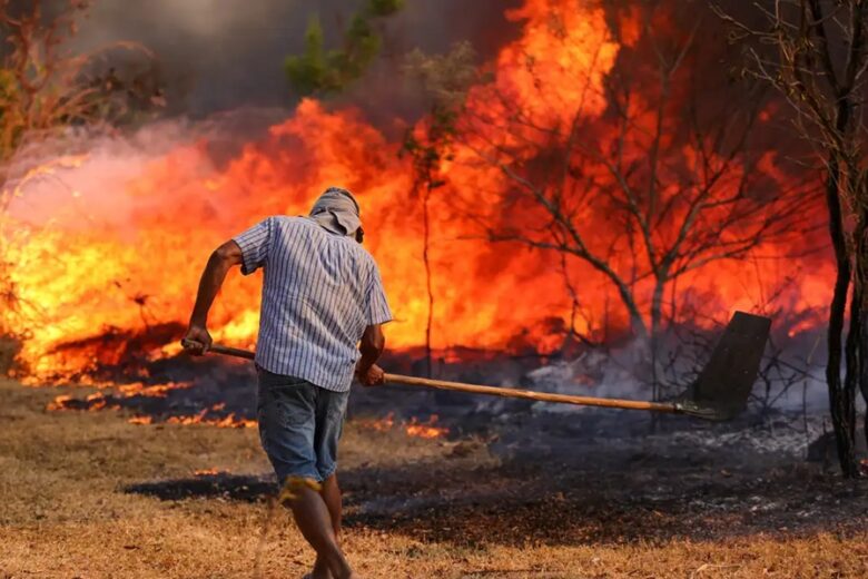 Minas Gerais é o quinto estado mais afetado por focos de incêndio durante o período de seca intensa